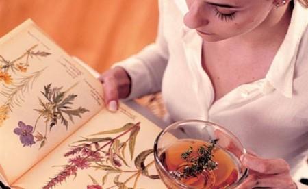 Завершение лактации народными средствами