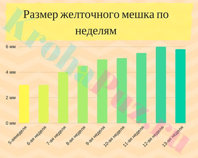zheltochniy-meshok-po-nedelyam