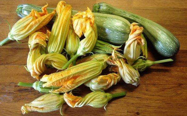 Выбор кабачка